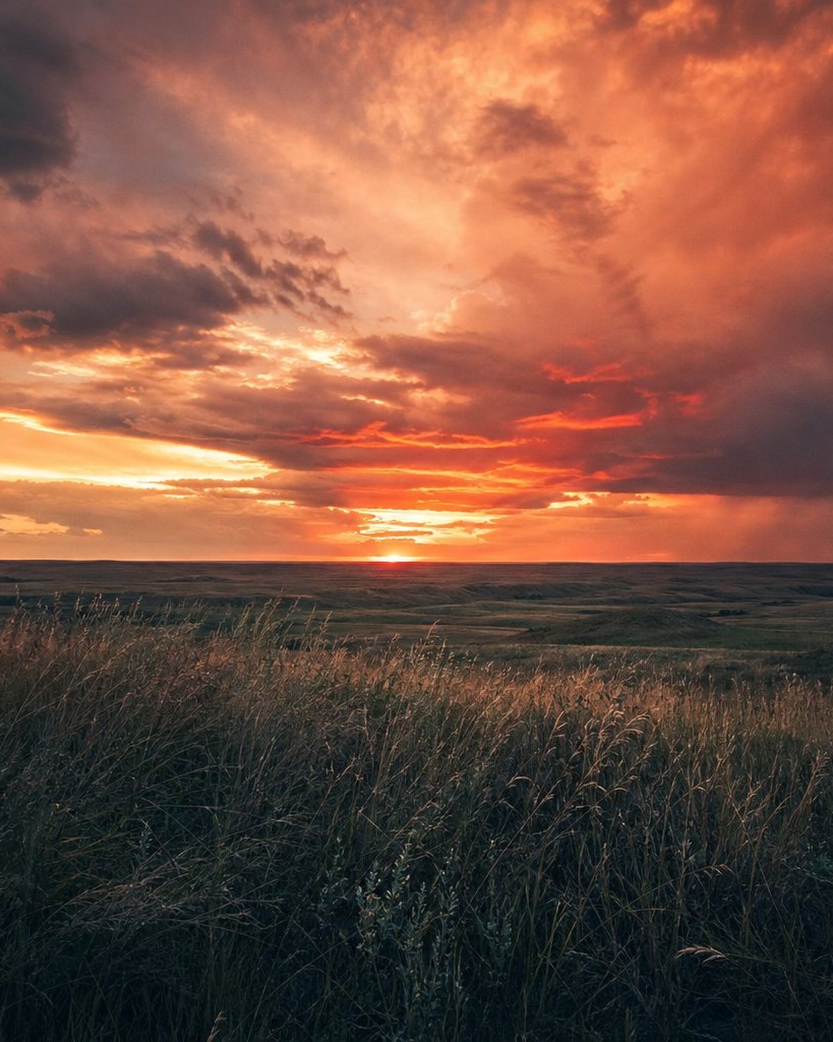 A lone fence post in tall grass as the sun sets over open prairie.